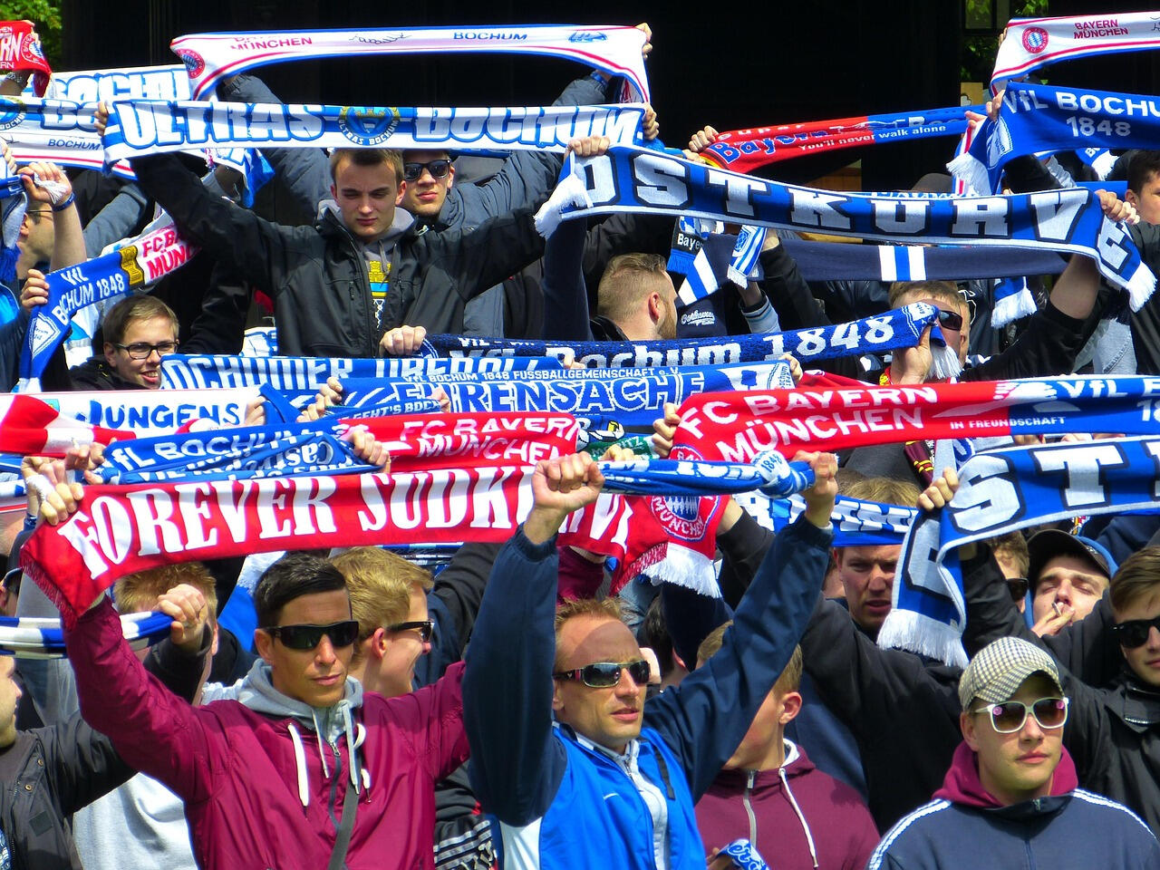 Link zur Umfrage einfügen