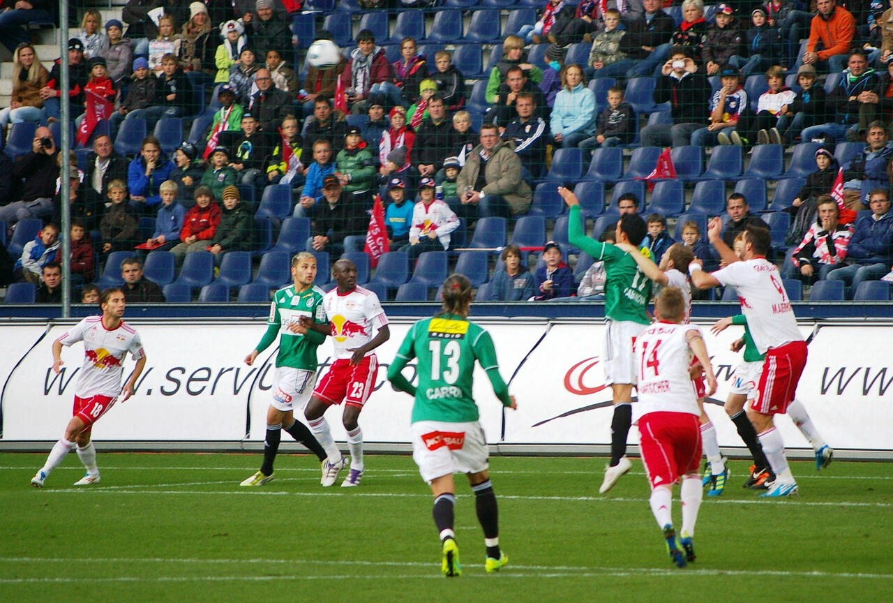 Link zur Umfrage einfügen